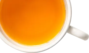 International Sustainability Impact Report 2025